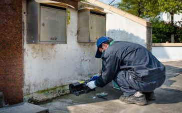 局病媒生物工作计划模板7篇
