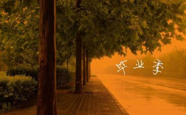 毕业前的工作计划最新5篇