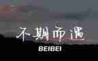 不期而遇,作文6篇