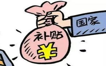 2024年农机补贴工作总结8篇