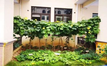 家常菜的作文7篇