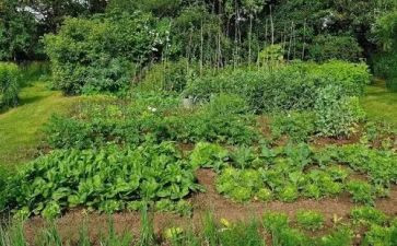 湘菜五周年活动方案策划7篇