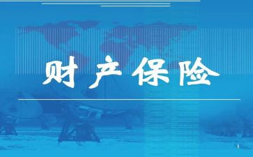 2024年财险工作总结8篇