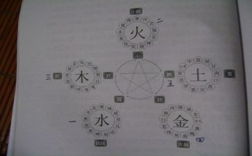 藏象学说教案7篇