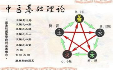 藏象影片观后感5篇