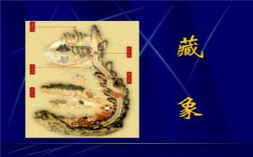 藏象影片观后感推荐5篇