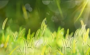 草船借箭读后感400字作文7篇