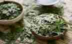 茶艺师的心得8篇