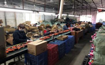 工厂员工月总结优质6篇