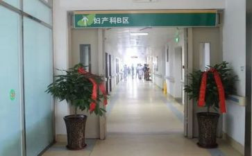 产科工作计划月总结5篇