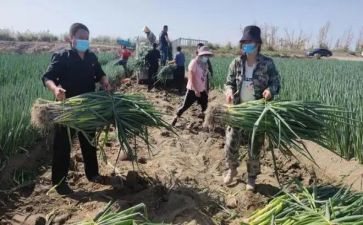 房产销售签合同7篇