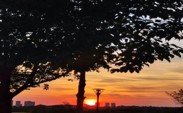 不负韶华争朝夕心得模板6篇
