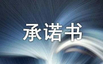 生产质量安全承诺书5篇