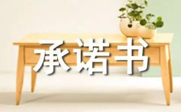 食堂安全责任承诺书6篇
