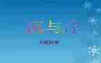 《沉与浮》中班教案8篇
