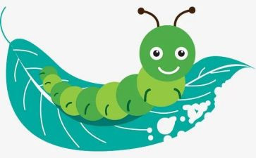 ?w昆虫记的读后感7篇