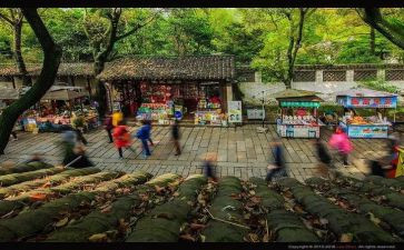 关于闯的话题作文5篇