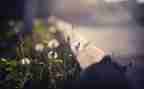 触动心灵的爱作文6篇