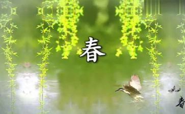 关于春节的心得体会6篇