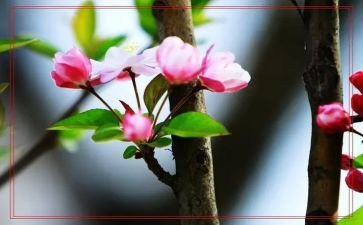 作文春节400字参考7篇