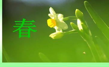 大班春学期安全总结5篇