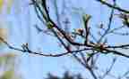 春节作文400字7篇