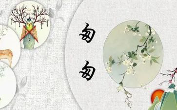 访匆匆作文模板5篇