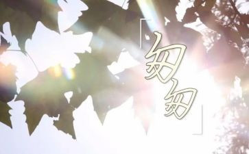 《匆匆》作文模板5篇