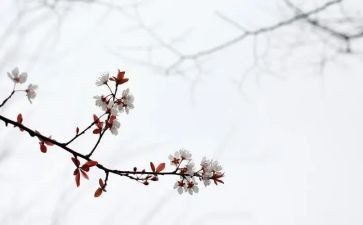 《匆匆》作文推荐8篇