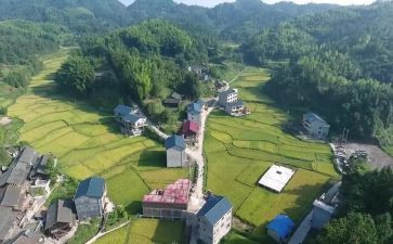 农村教师的心得体会8篇