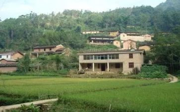 到村工作大学生工作总结精选5篇