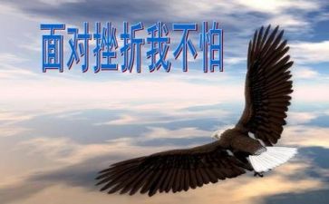 成长或挫折的作文优质5篇