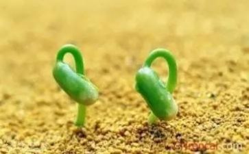 关于挫折的作文800字作文6篇