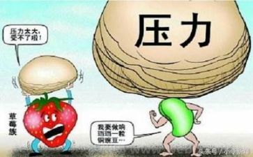 以挫折为话题作文700字8篇