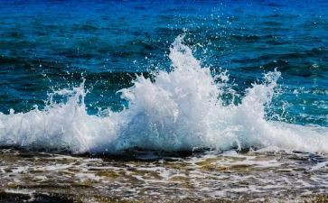 写大海的演讲稿6篇