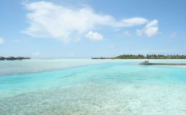 大海作文600字8篇