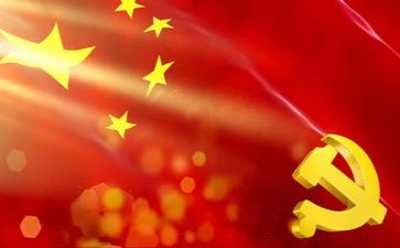 《党组》心得体会参考8篇