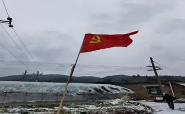 2023教师党员转正申请书通用6篇