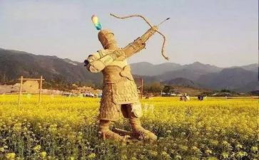 稻草人芳的梦读后感优质8篇