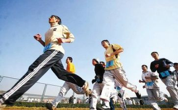 我的大学作文800字作文6篇