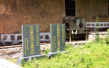 邓子恢实践活动心得体会优质8篇