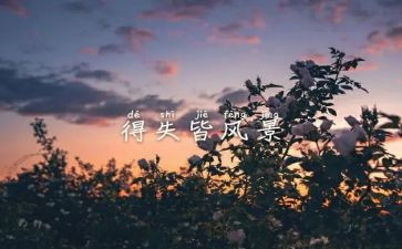 以得与失为主题的演讲稿优质8篇