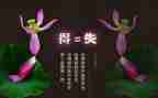 小学生得与失个人总结6篇