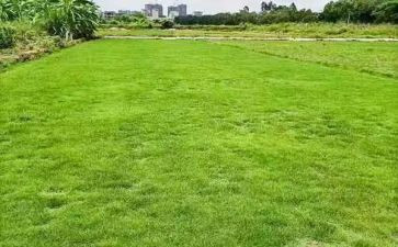 从进房地产的心得体会7篇