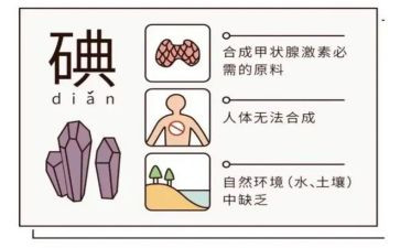 碘缺乏活动总结8篇