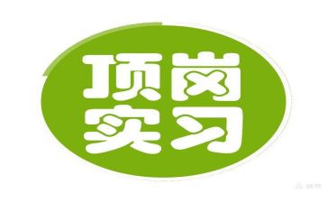 大学生顶岗个人总结6篇