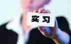 顶岗预实习的心得体会推荐5篇