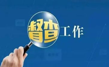 督查工作半年工作总结6篇