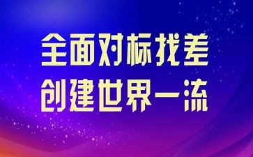 月度对标工作总结6篇