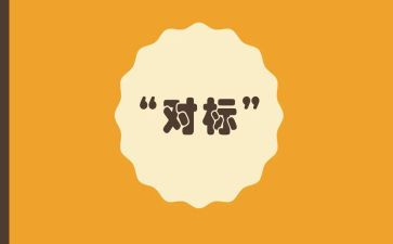 保安公司对标工作总结优秀8篇
